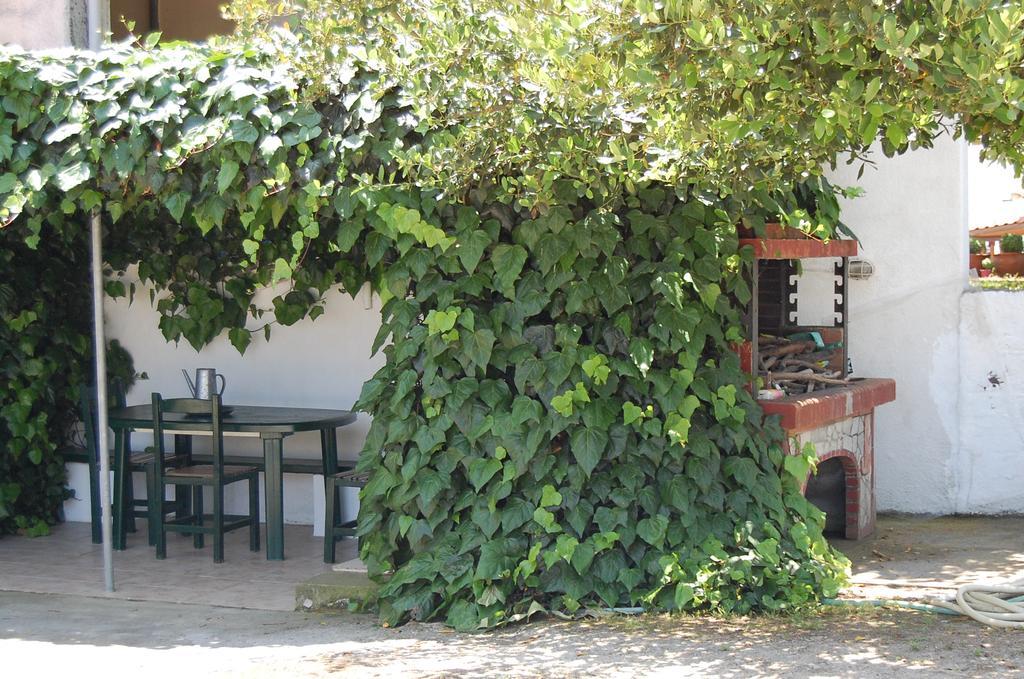 Posidi Studios Bagian luar foto