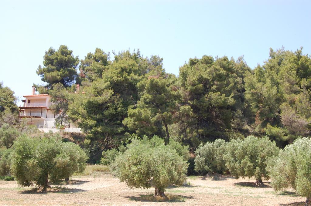 Posidi Studios Bagian luar foto