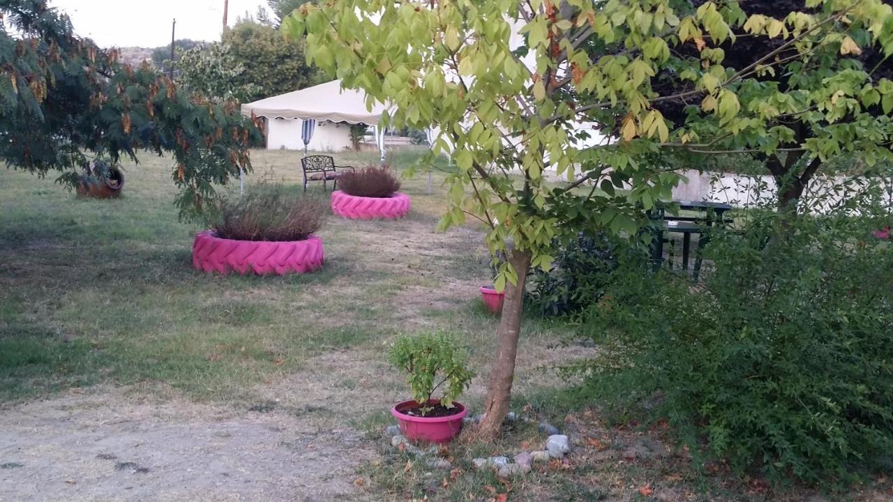 Posidi Studios Bagian luar foto