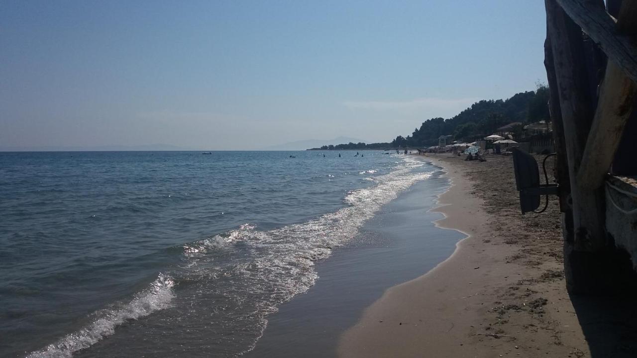 Posidi Studios Bagian luar foto